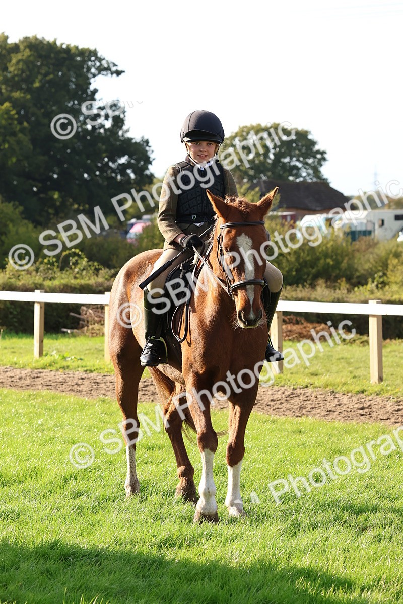 SBM_52638 - S13 - Pony Club Pony