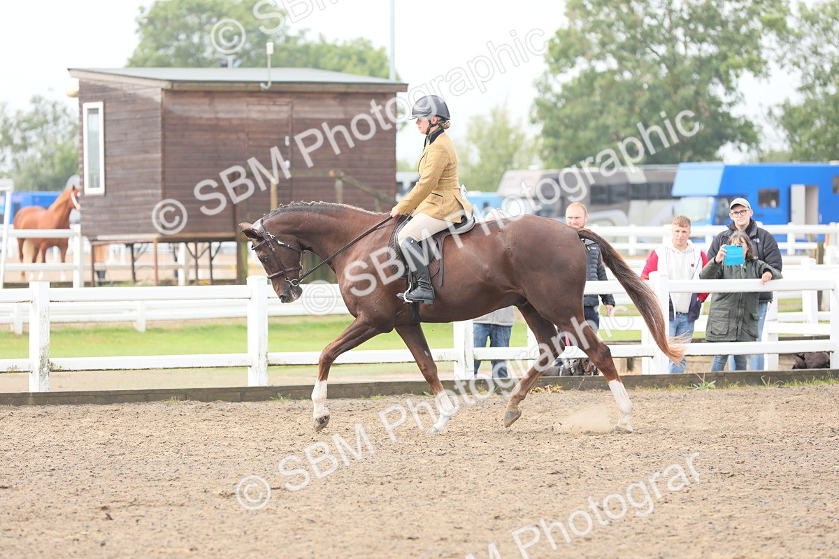 SBM_21337 - Class 805 - Ridden Veteran Horse