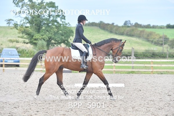 BPP_5901 - PRELIM TEST 5 LONG ARENA