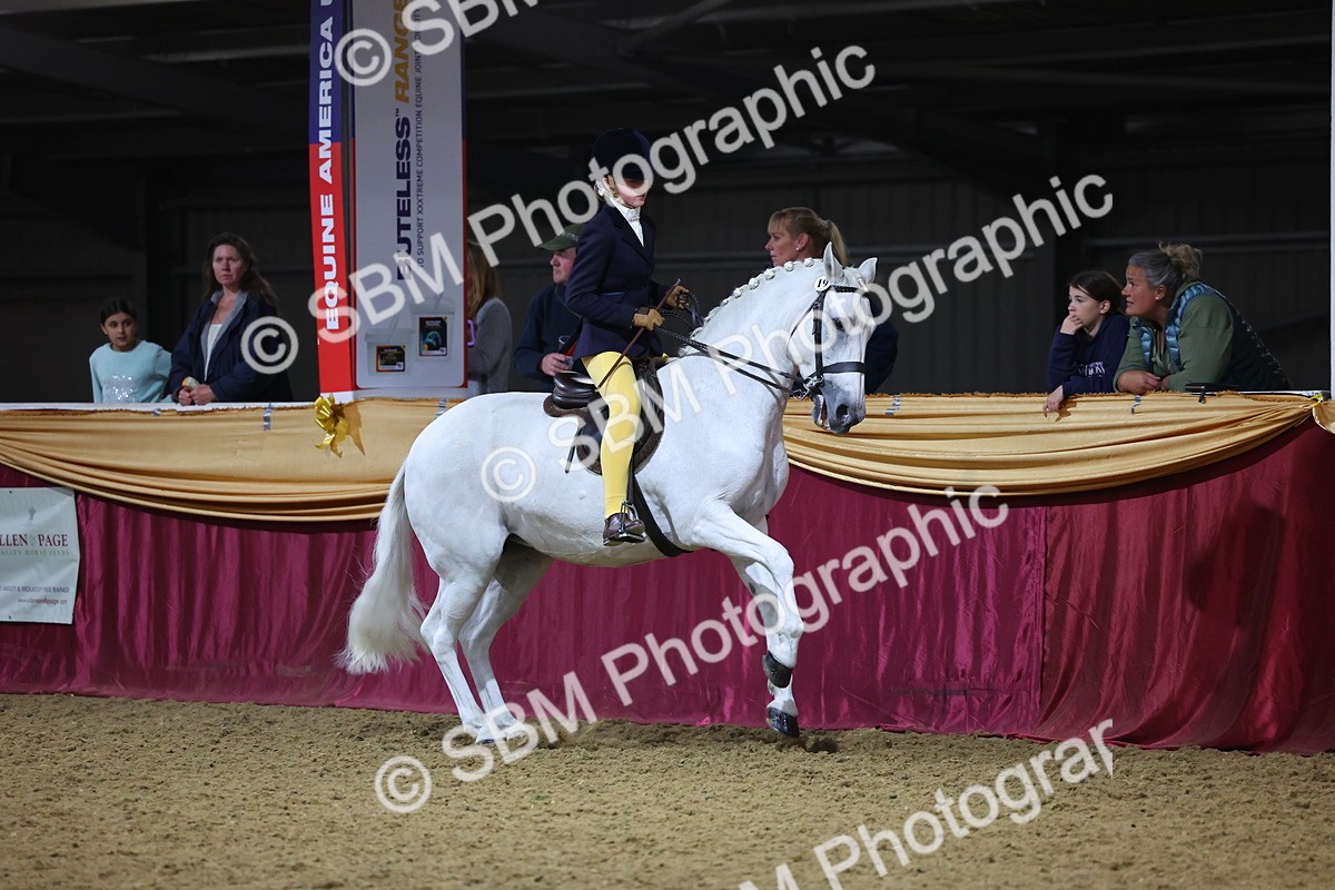 0B8A4586 - Class Q Style & Performance Champ