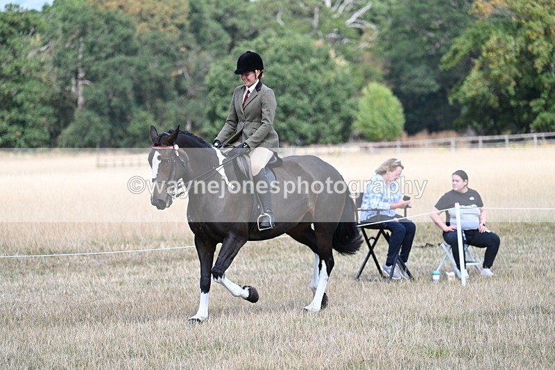 WJ7_6067 - Class 13 Ridden Veterans