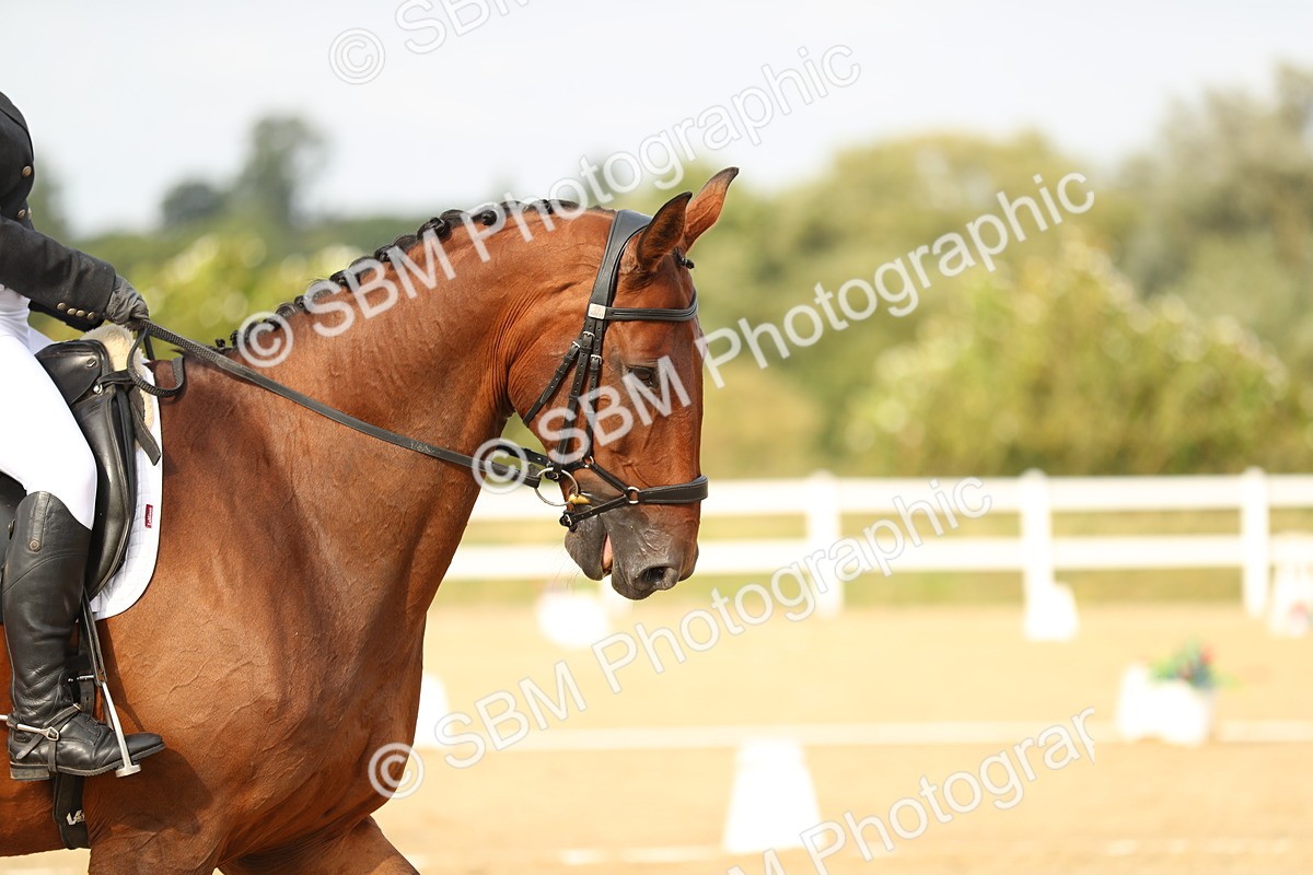 SBM_018538 - Class 12 - INT I 16.28-16.44