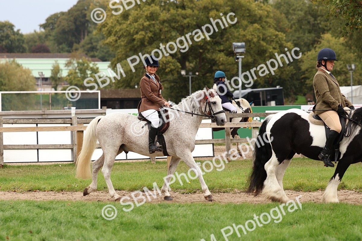 SBM_64390 - S58 - Coloured Pony Ridden