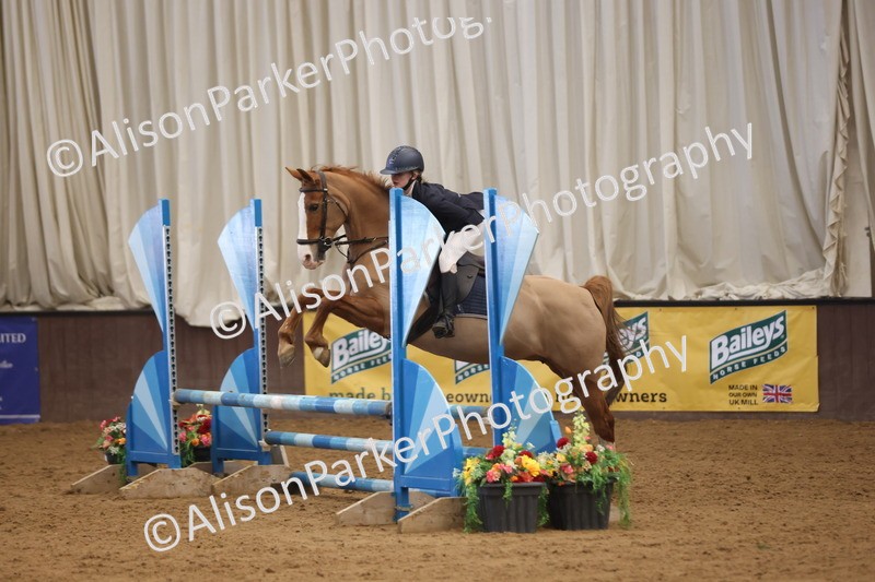 20260314-3782 - 80cm