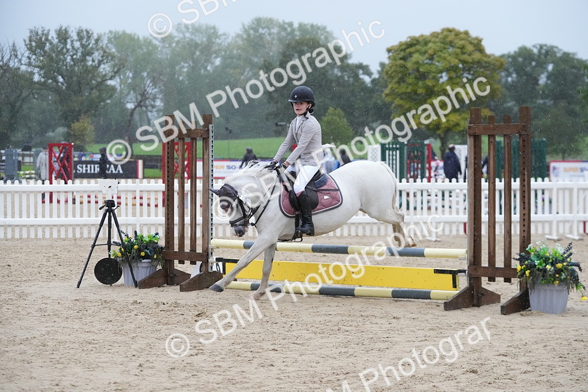 SBM_36144 - J5 - Junior Pony 50cm Championship
