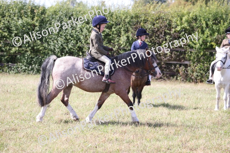 20260906-3057 - Class 18 - Childs First Pony