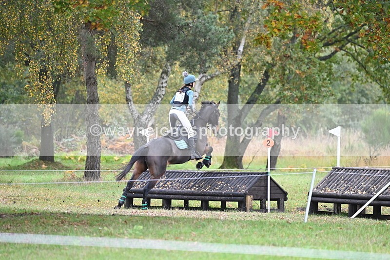 WJ6_3979 - 90cm Cam 1 Time 14:05 to 14:35