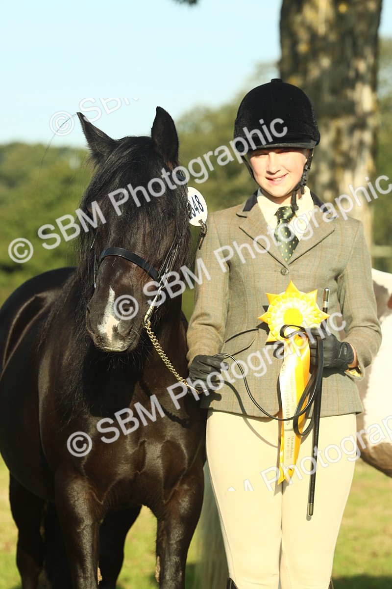 SBM_58486 - S37 - Starters In Hand Showing
