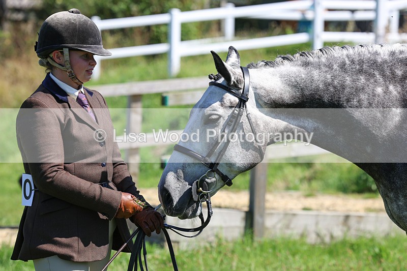 3E7A8453 - Class 4: Novice working Hunter