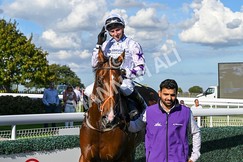 220926-Race 4-Toca Madera-4091 - Race 4 3.15pm Eddie And Violet Smith Conditions Stakes