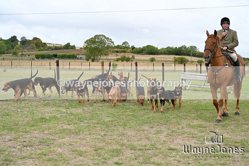 WJ7_0633 - Berks & Bucks Hound Exercise Blewbury 13-09-26