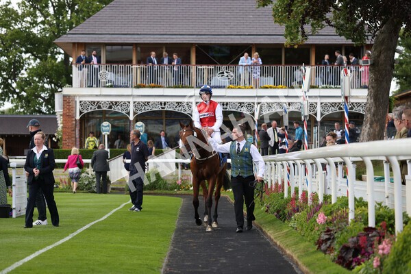 yr10062022r2-31 - Race 2 2.30pm SKF Rous Selling Stakes