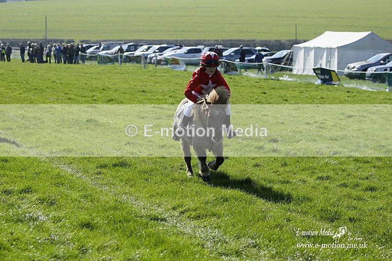 PtP 190322 29 - Wilton Hunt PtP Milborne St Andrew 19/03/22