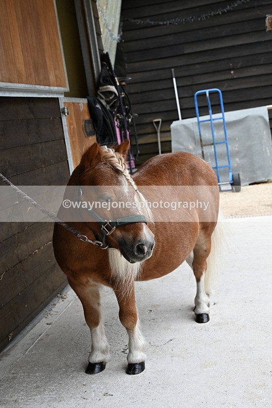 WJ6_2938 - Berks & Bucks - The Old farmhouse - Hound Exercise 20-08-25