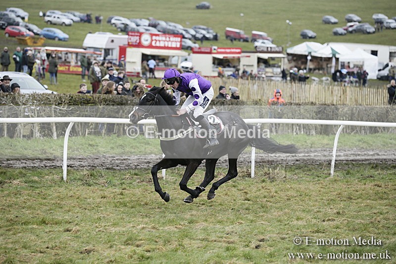 PtP 020418 -486 - Old Berks Point-to-Point Races Easter Monday 02/04/18