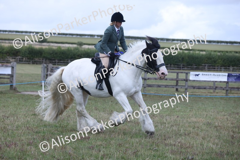 20250831-4373 - Class 20 - Ridden Coloured