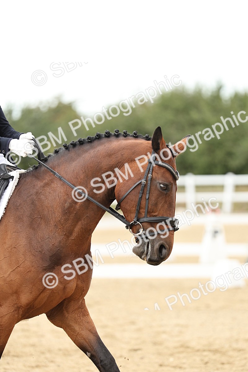 SBM_007254 - Class 25 - FEI PSG Bronze