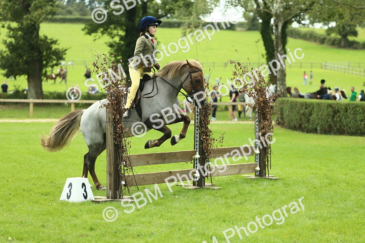 SBM_42771 - S30 - M&M Working hunter Pony