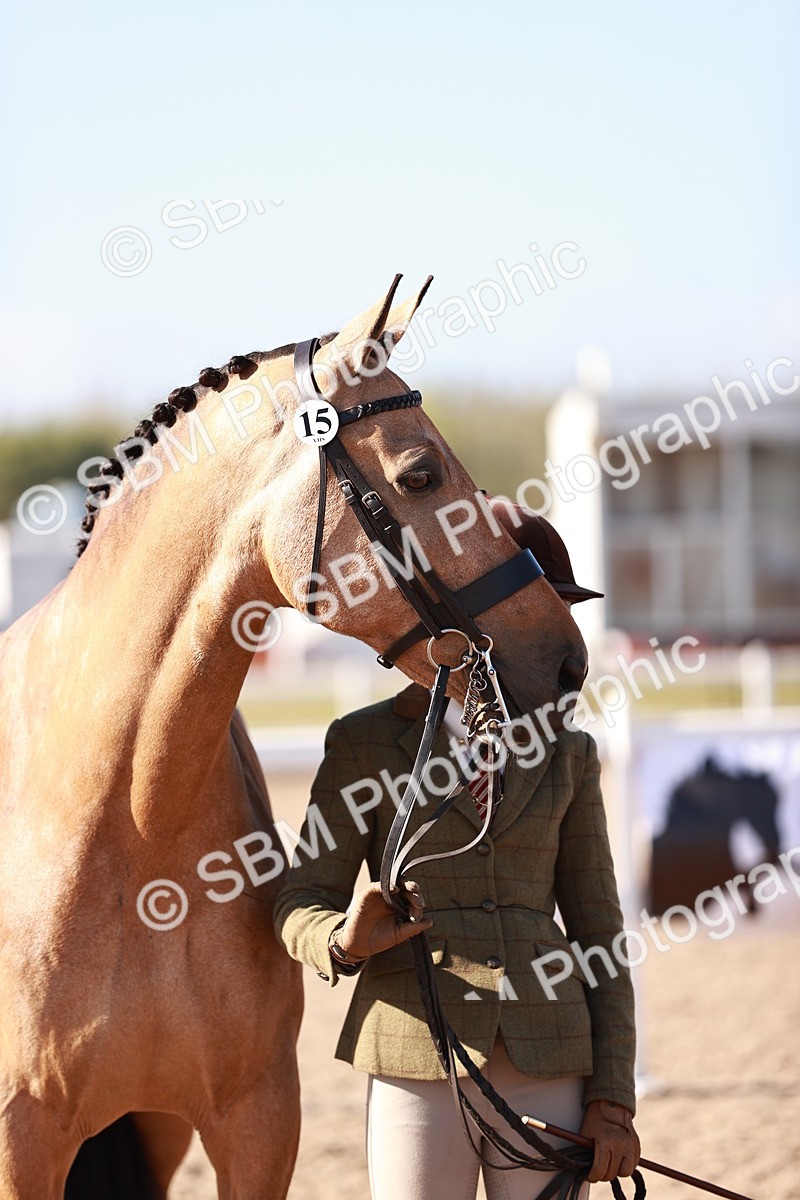 SBM_22065 - Class 703 - IH Coloured