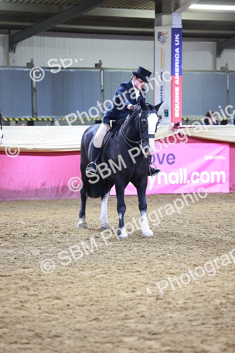 SBM_15422 - Class Q - Ridden Horse Champ