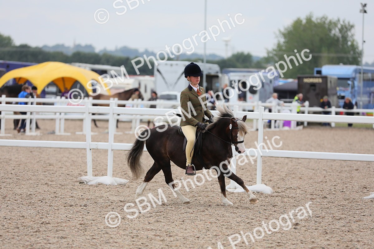 SBM_18117 - Class 316 Best Pony/Rider Combination