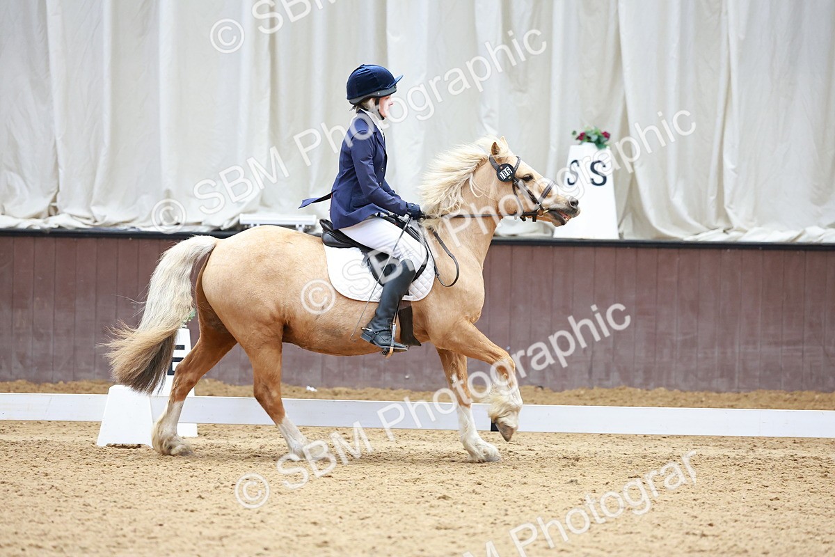 SBM_000575 - Class 4 - CT Prelim 3-70cm