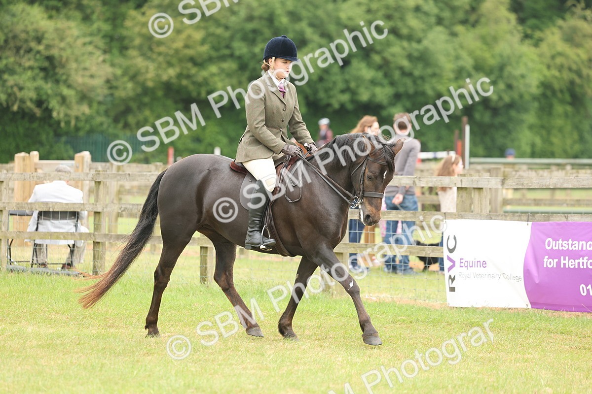 SBM_09087 - Class 78-80 - Ridden M&M Non Welsh Ponies