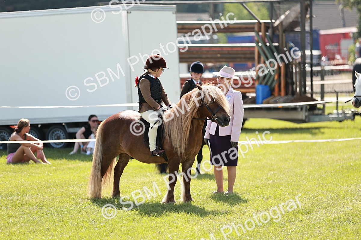 SBM_12755 - Class 106-107 - BSPS LIHS Working Sports Pony