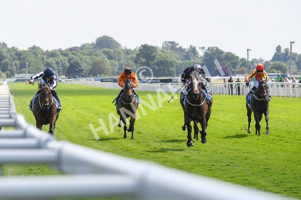 160623-Race 3-Radio Goo Goo-0391 - Race 3 3.00pm British EBF Supporting Racing With Pride Fillies' Handicap