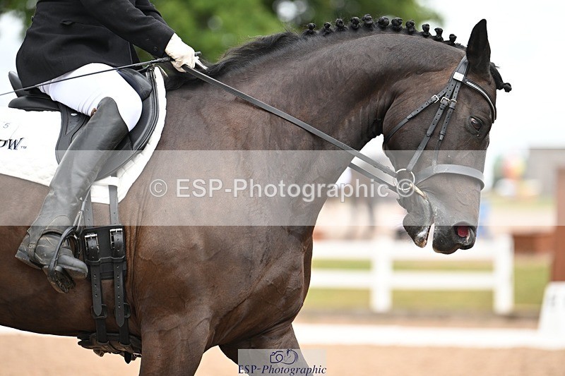 250705-175528-02793 - N1 Section BDNOV1 1350 to 15.28