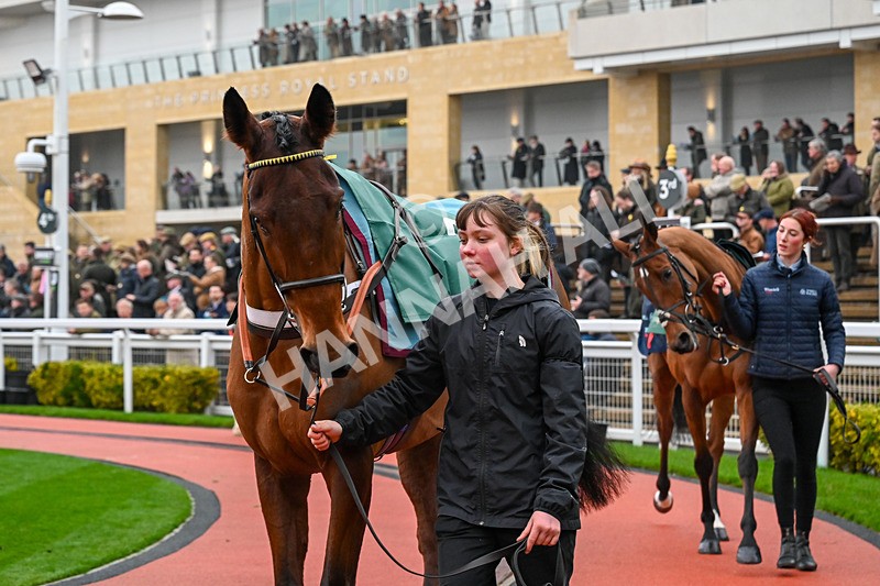 131224-Race 3-Bo Zenith-9375 - Race 3