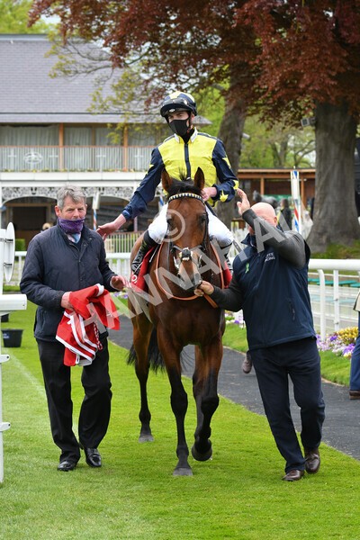 yr14052021r3-31 - Race 3 2.40pm The Matchbook Best Value Exchange Stakes