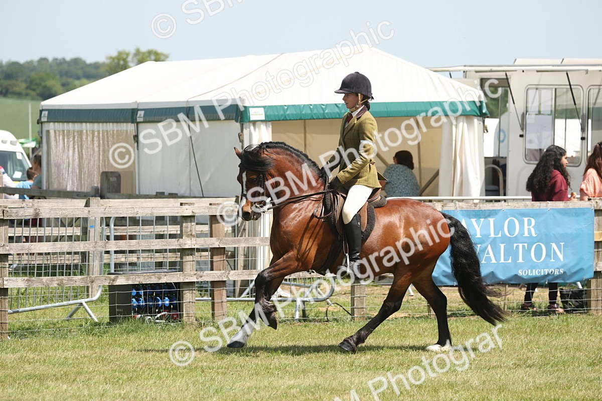 SBM_06946 - Class 26-30 - Mountain and Moorland Ridden
