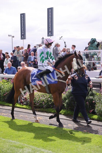 yr17082022r1-027 - Race 1 1.50pm Sky Bet & Symphony Group Stakes