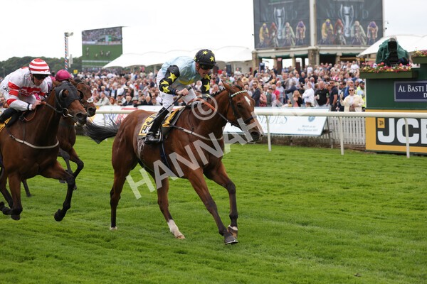 yr11062022r3-33 - Race 3 2.35pm The JCB Stakes
