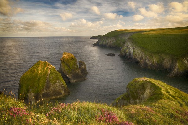 Nohoval Cliffs, Co. Cork, Ireland.