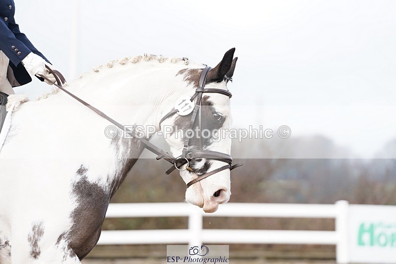 250322-093422-00065 - DR Prelim 2 Test