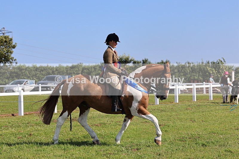 IMG_1699 - Skewbald and Piebald Ridden Championship