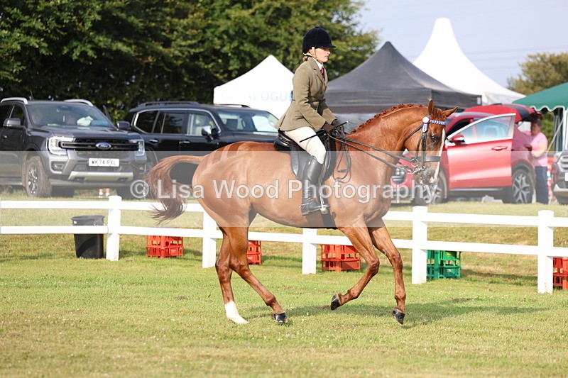 3E7A7686 - Class 1: Rising Star Small Hack/Riding Horses
