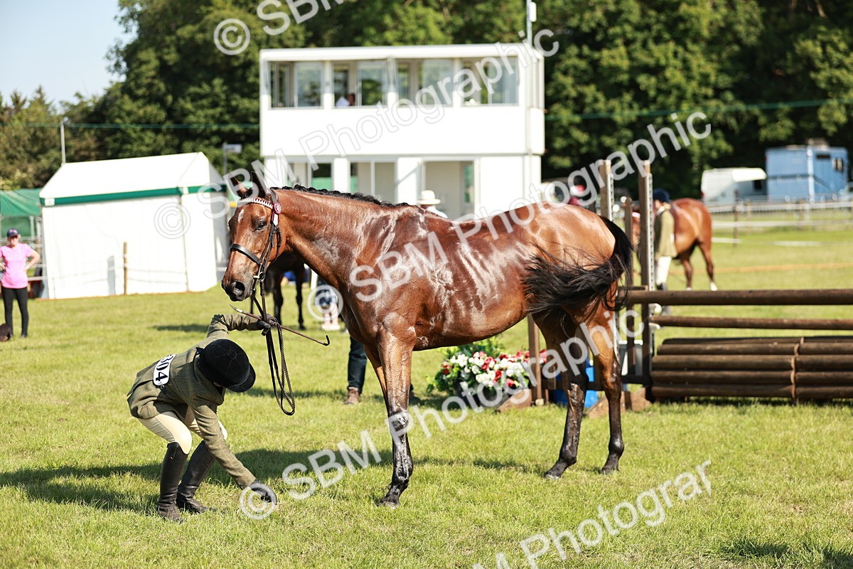 SBM_19279 - Class 115-116 - LIHS BSHA Rising Star Working Hunter & Show Horse