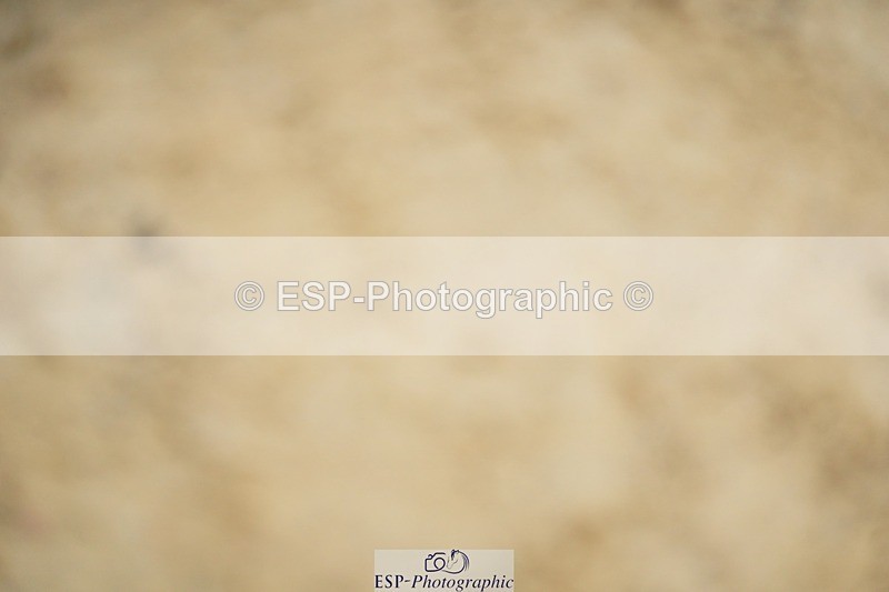 240309-111828-00320 - Cls 01 AE 70cm