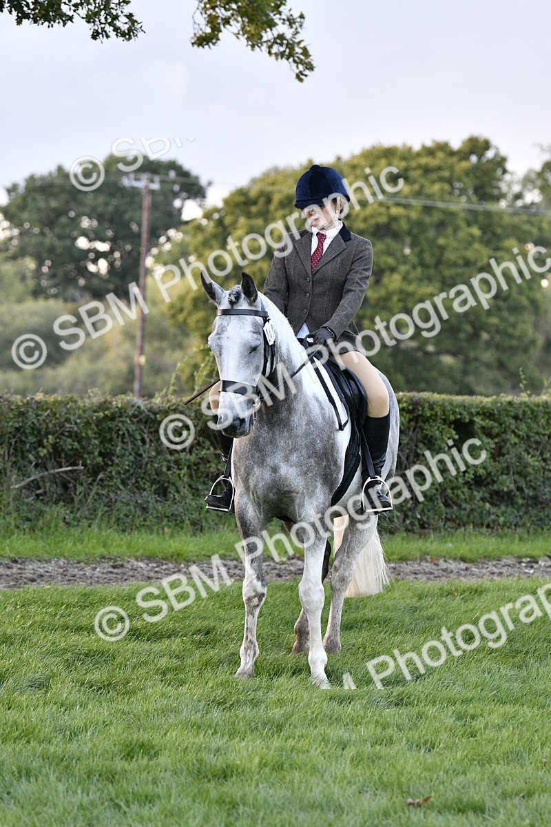 SBM_53598 - S14 - Riding Club Horse