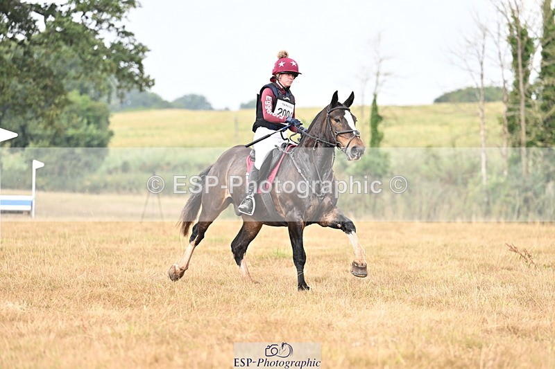 250824A-114714-35259 - 2004-Anaya.Stoneman-Anablaha.Blue