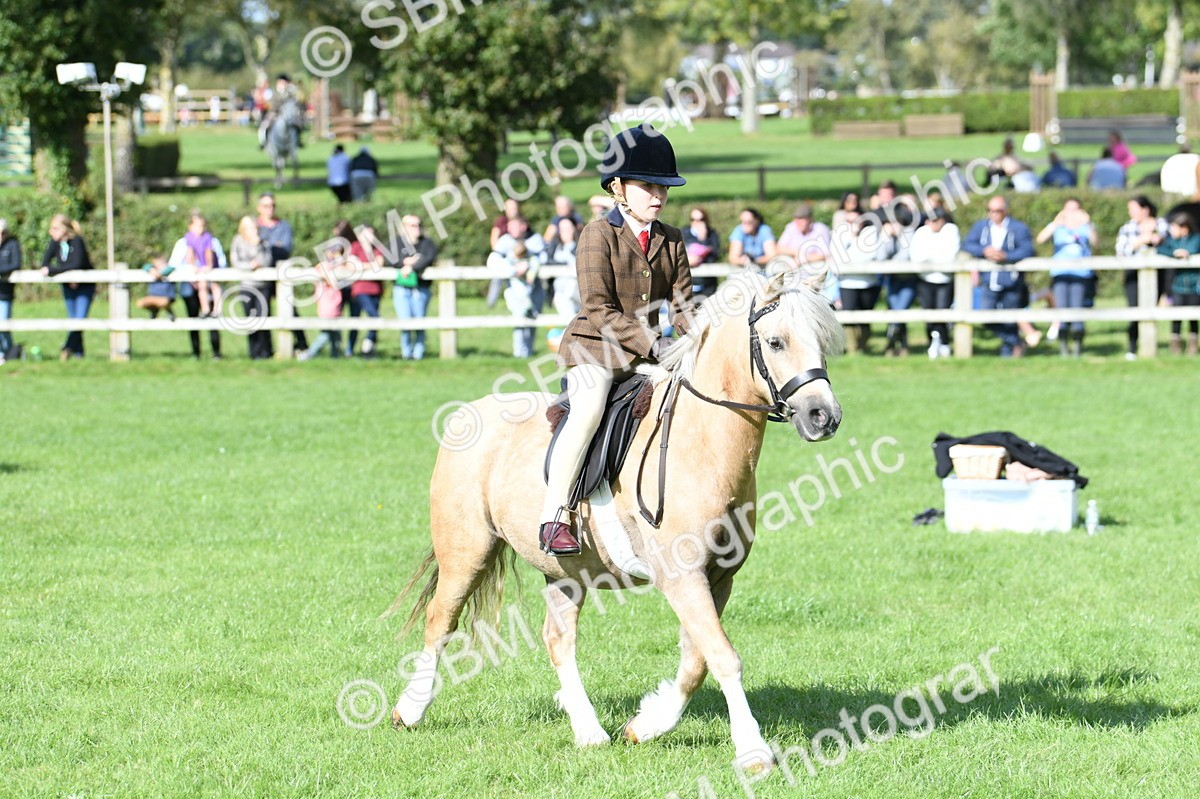 SBM_50283 - S21 - Novice & Newcomers 1st Ridden Pony