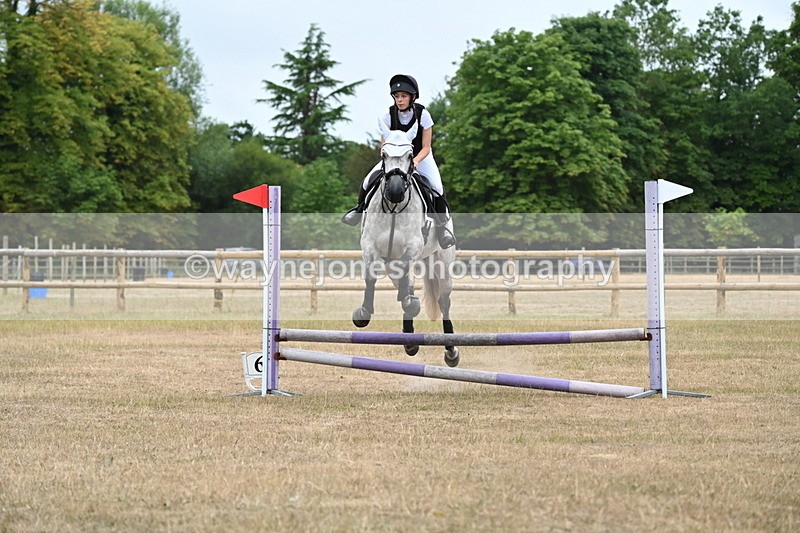 WJ6_0287 - Class 13 Novice Jumping 60cm