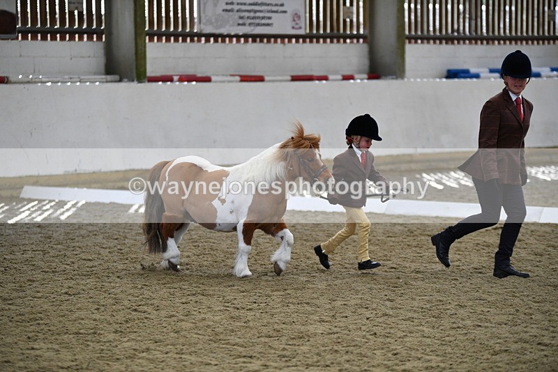 WJ5_4906 - Class 7 In hand coloured / odd coloured