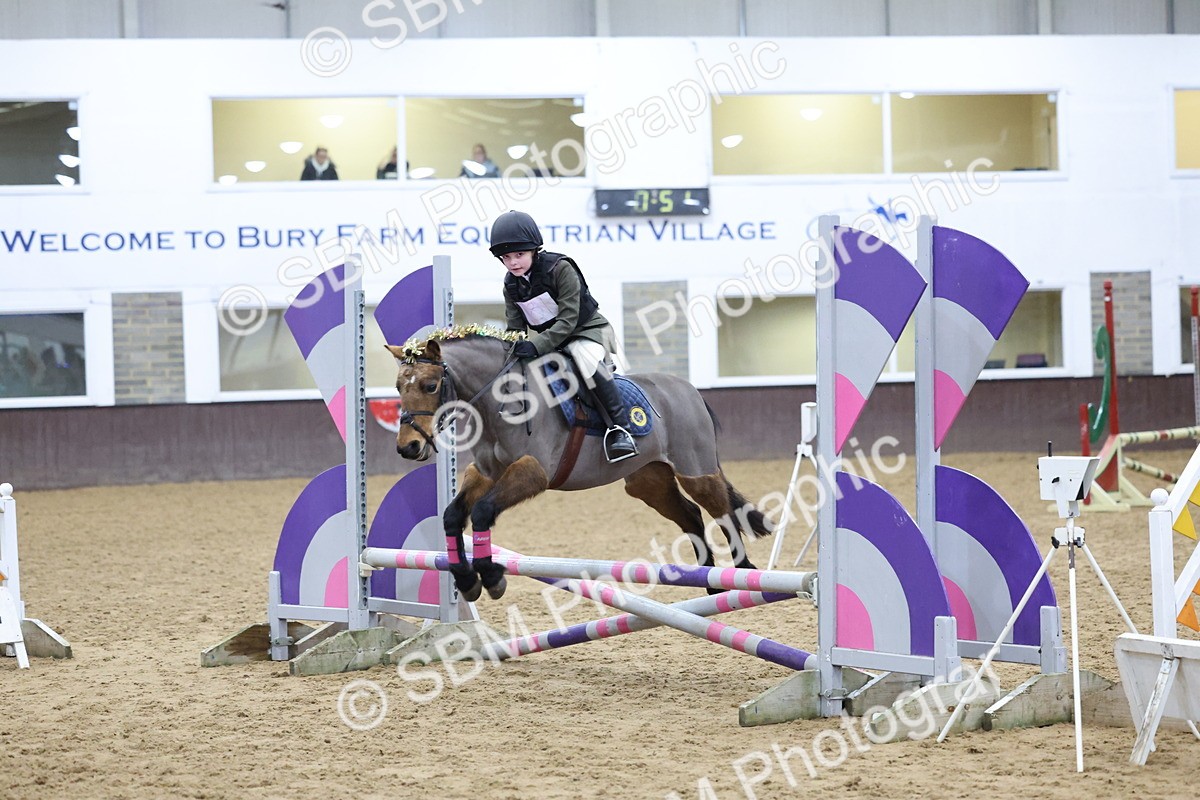 SBM_001131 - Class 3 - Christmas Tree Stakes - 60cm