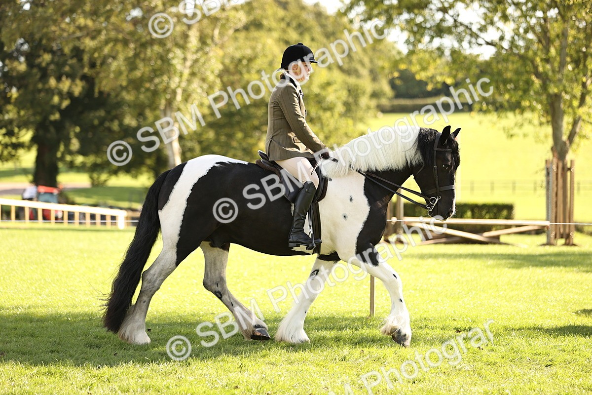 SBM_26425 - S6 - Novice & Newcomers Ridden Horse