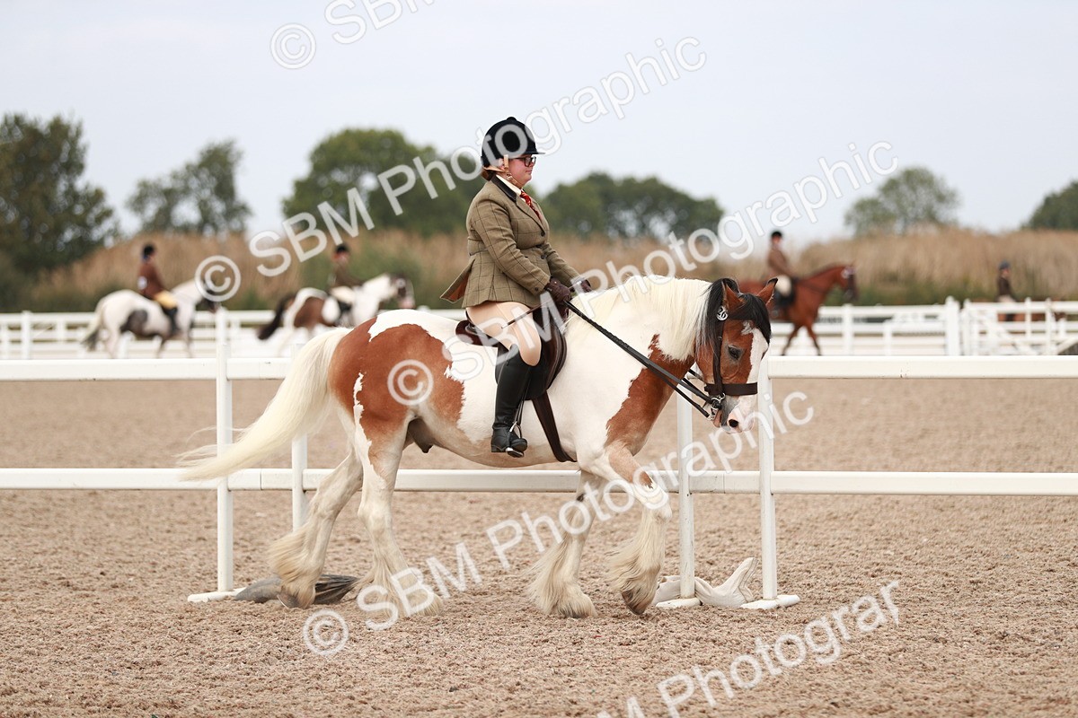 SBM_16571 - Class 214 Ridden Cob