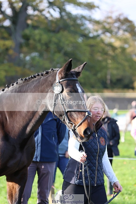 251026A-095414-22567 - D-350-Katie.Timberlake